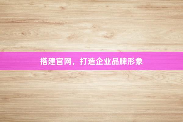 搭建官网，打造企业品牌形象